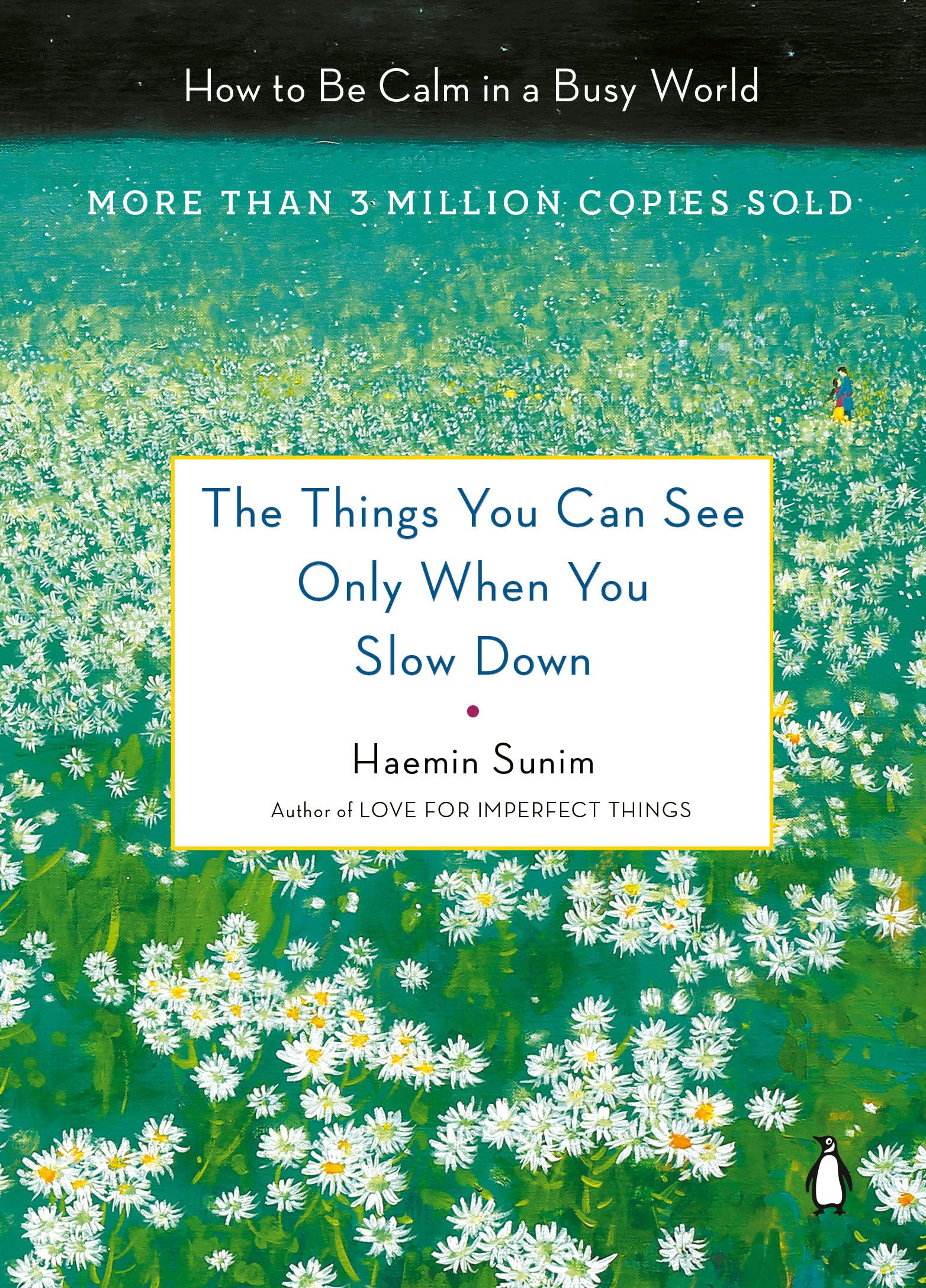 A book called The Things You Can See Only When You Slow Down: How to be Calm in a Busy World