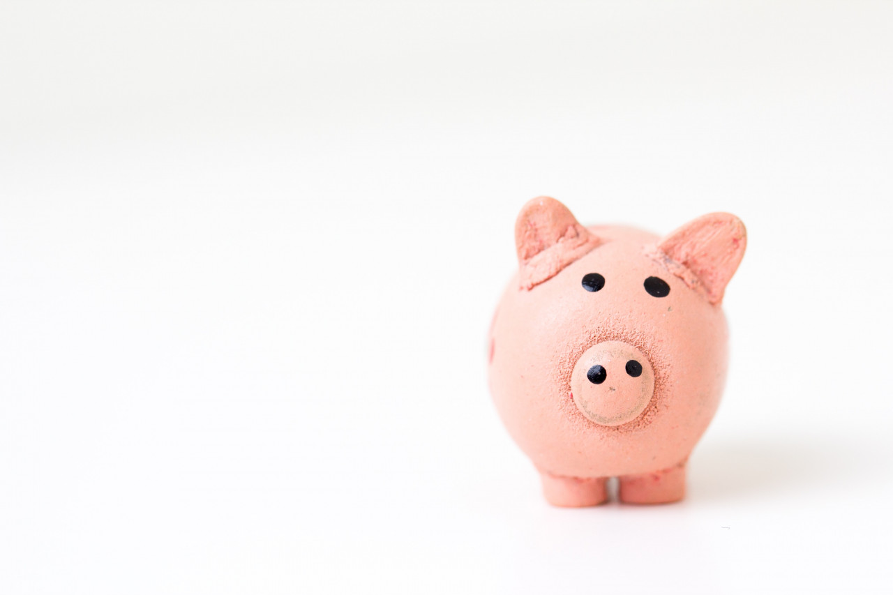 A pig made out of modeling clay.