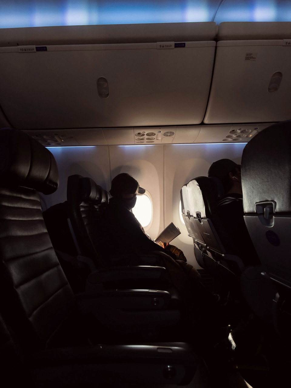 person looking out airplane window
