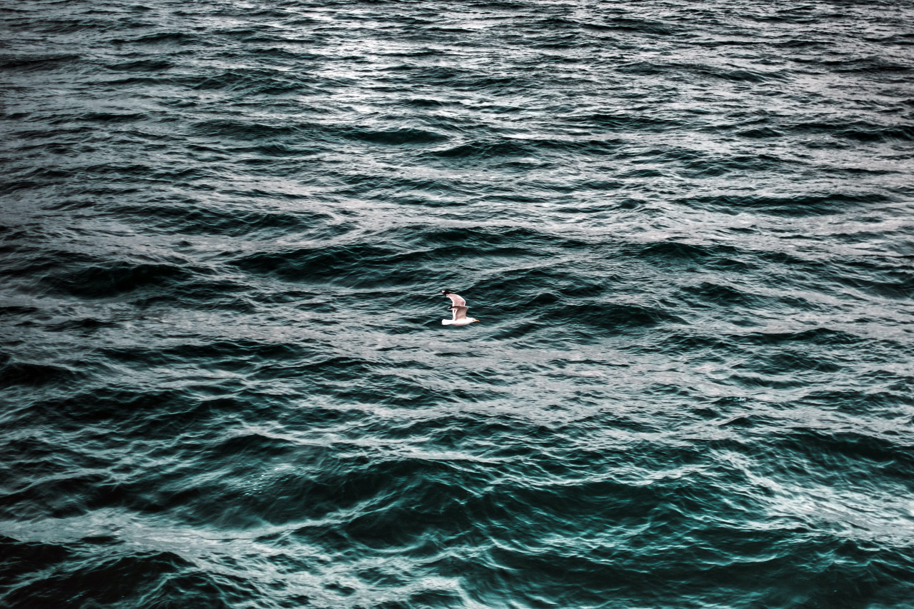 Someone surging in a large body of water