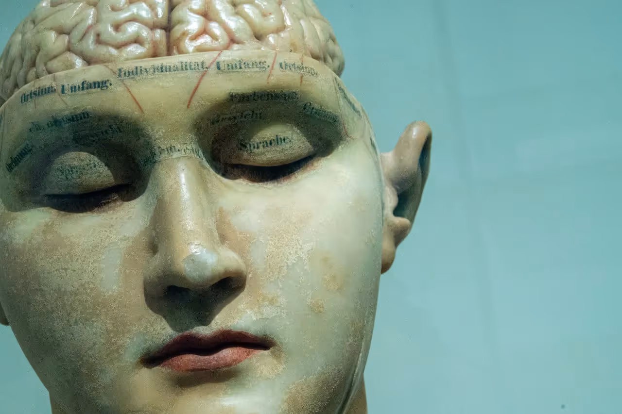 Statue of a face with the brain exposed