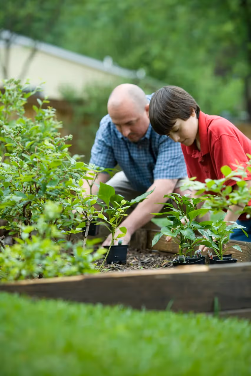 A father gardening with his son.