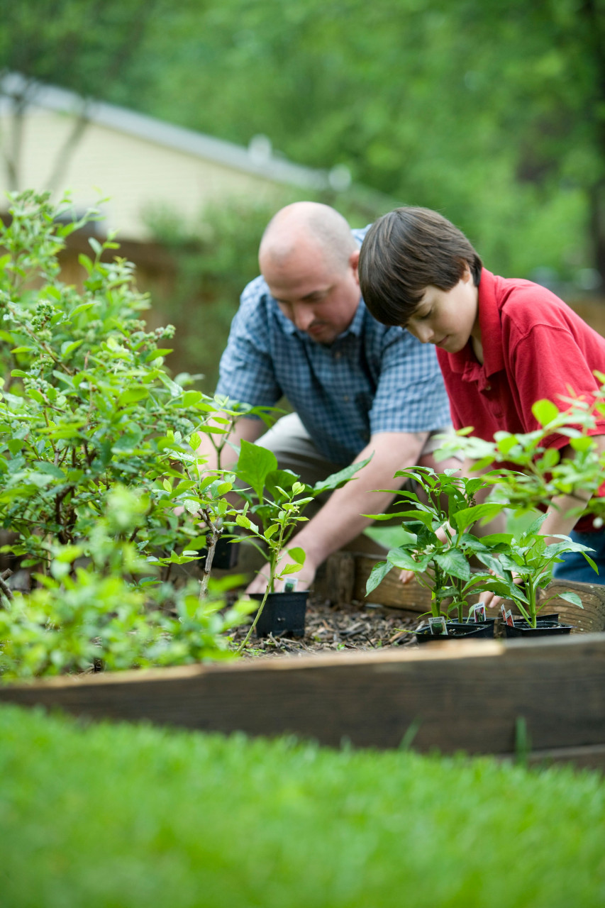 A father gardening with his son.
