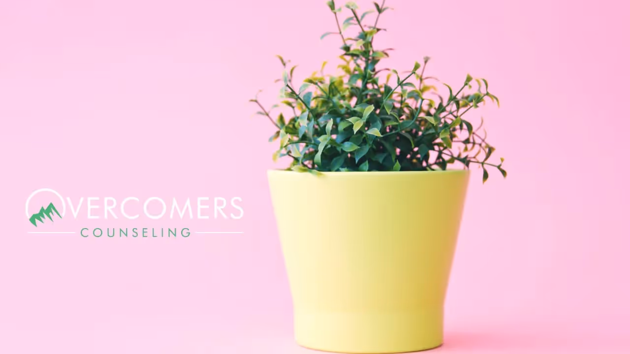 Pink background, flower pot