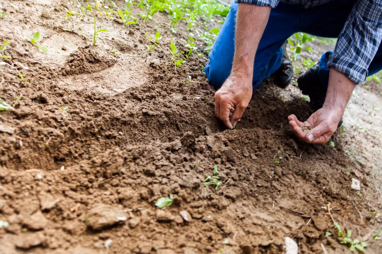 A man crouching in the garden.