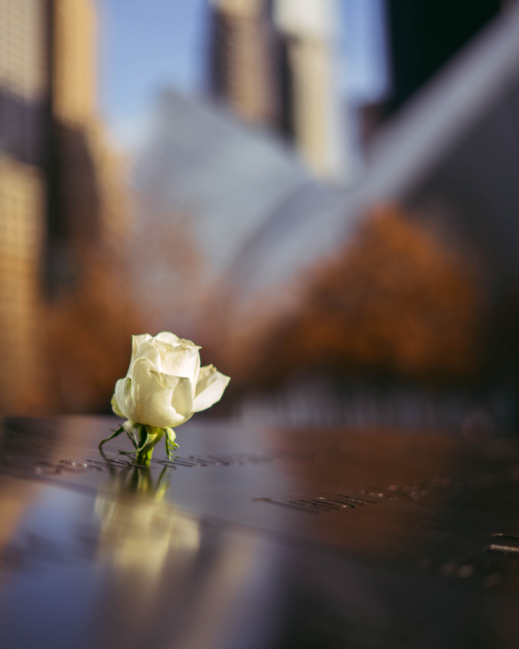 A flower on a table.
