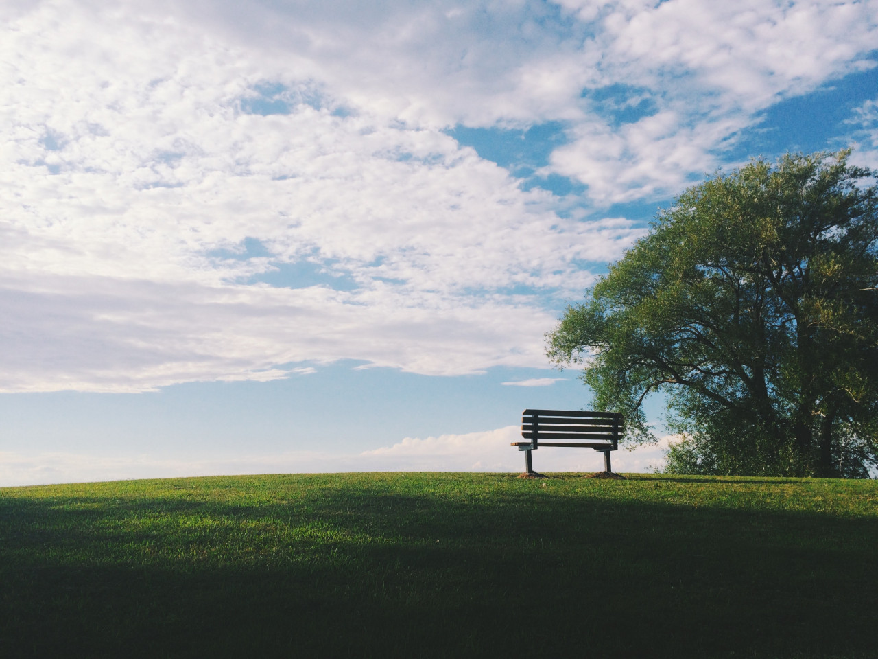 An empty park.