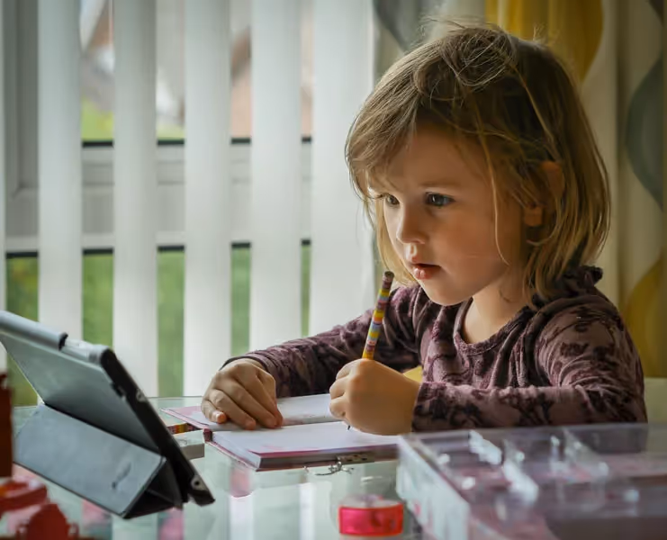 a young student studying at home