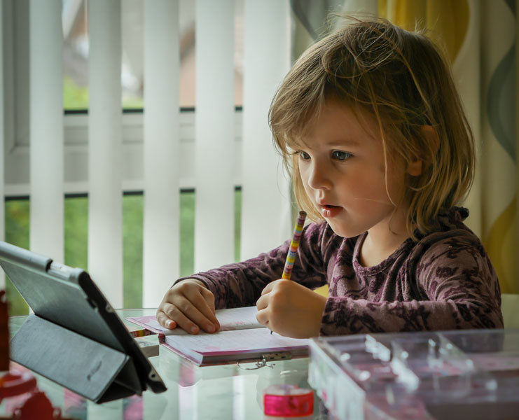 a young student studying at home