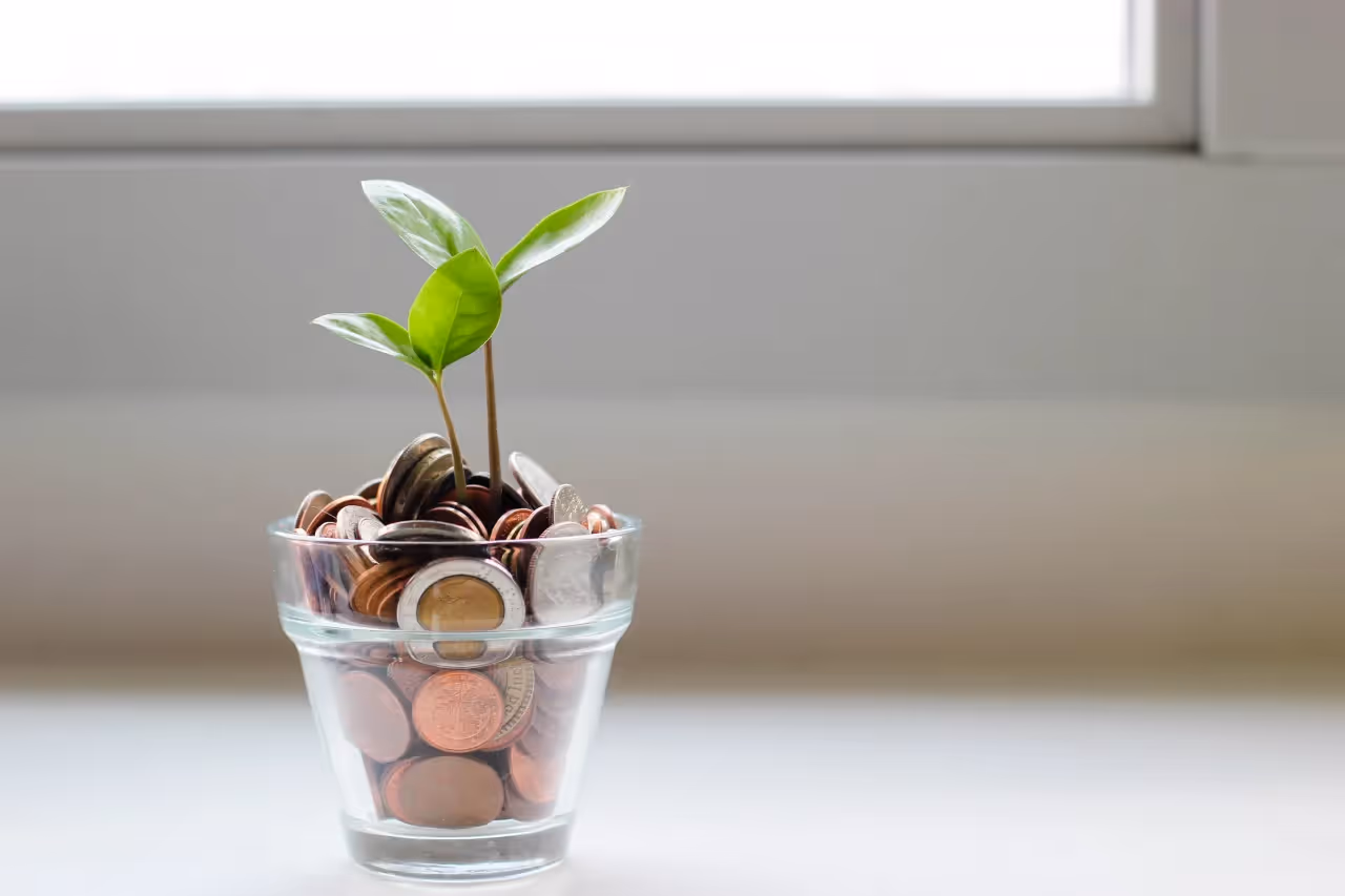 a plant growing in a jar of change