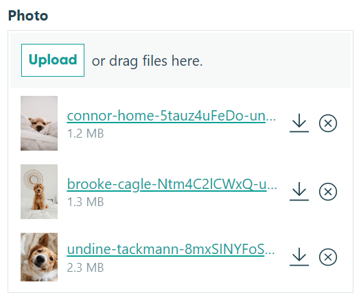 Click the download icon next to download the file directly.