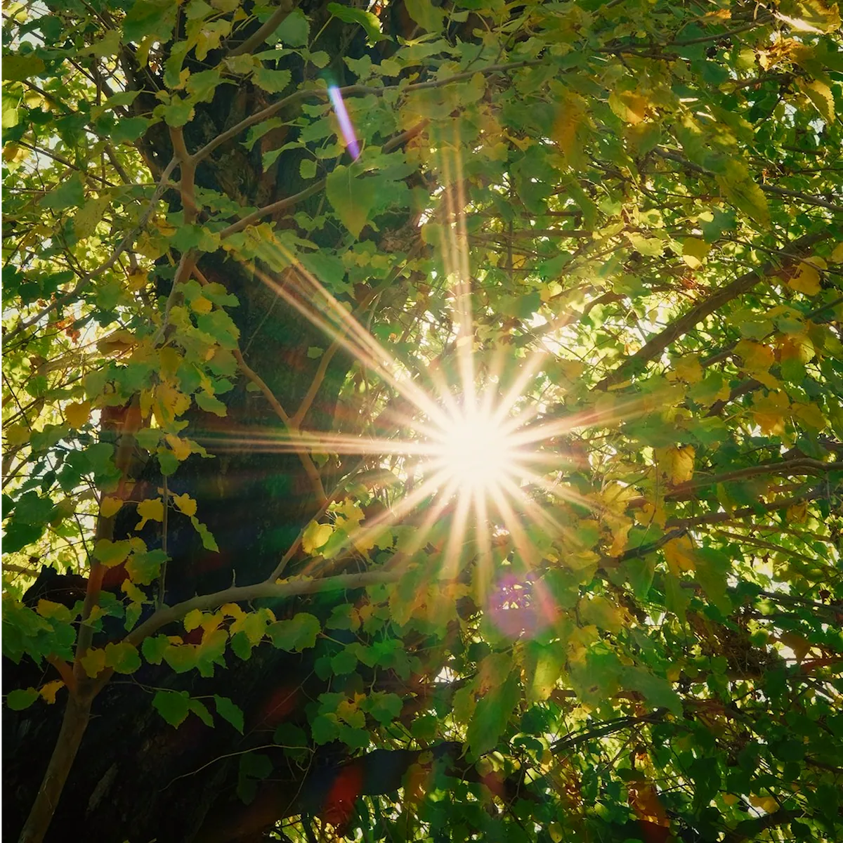 How Therapy Helps You Heal