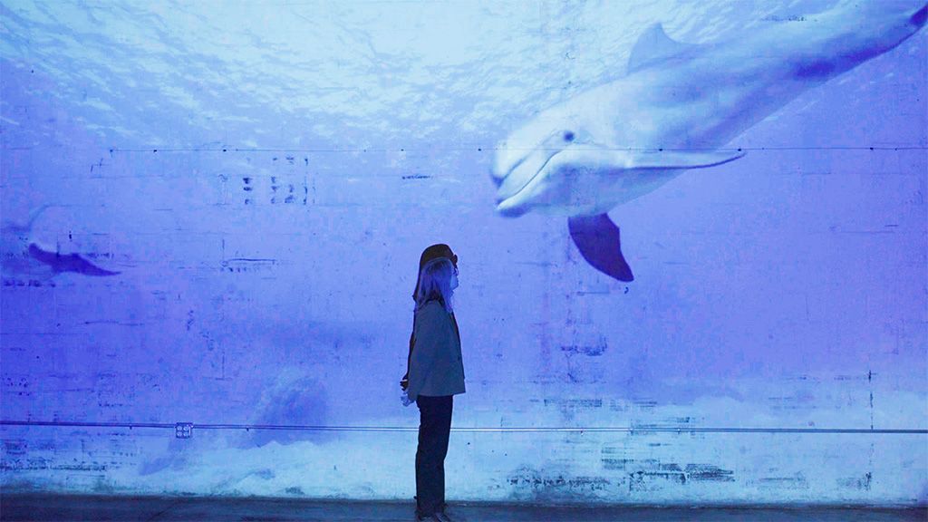 F. U. Dolphins thumbnail