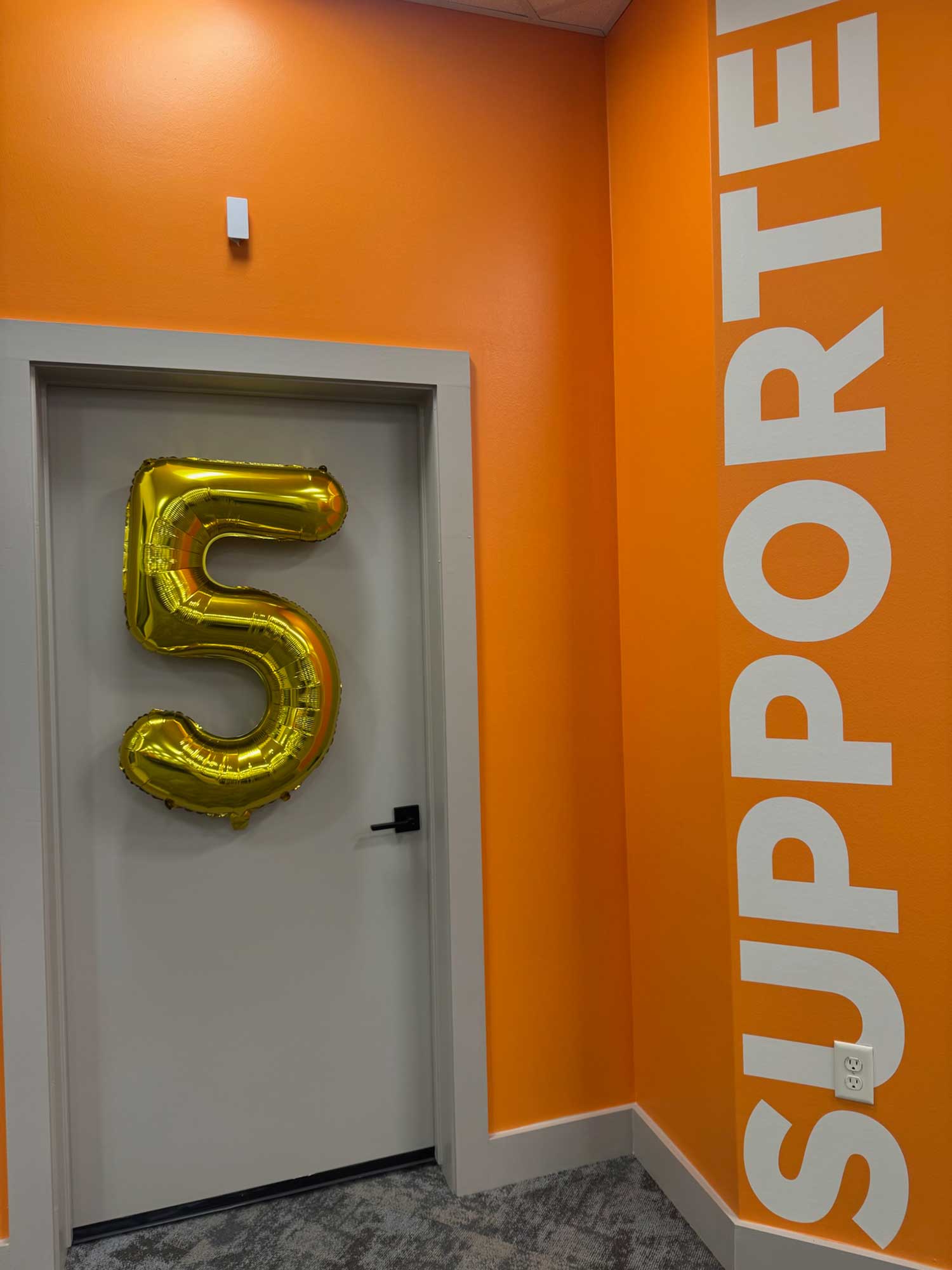 From the CEO’s desk: THS celebrates five years