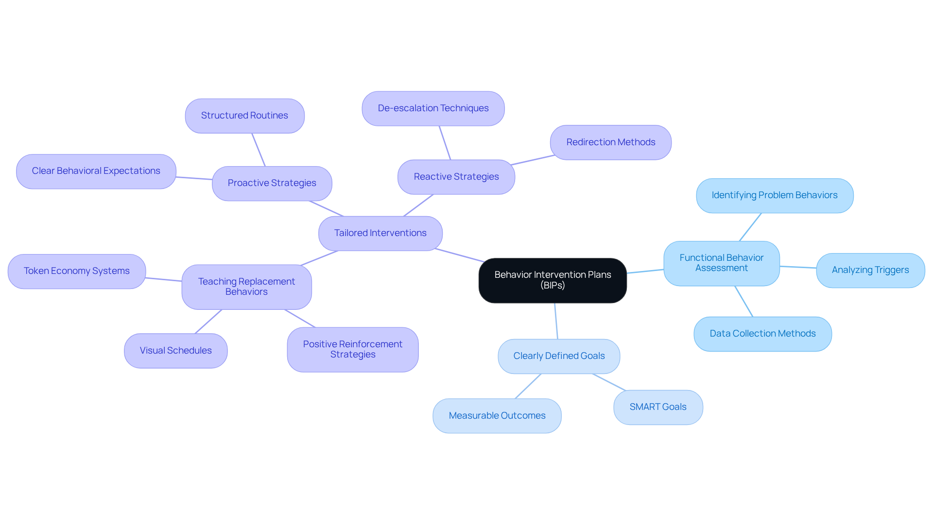 The central node represents BIPs, while each branch illustrates key components that contribute to the overall strategy. Follow the branches to understand how each part works together to support students.