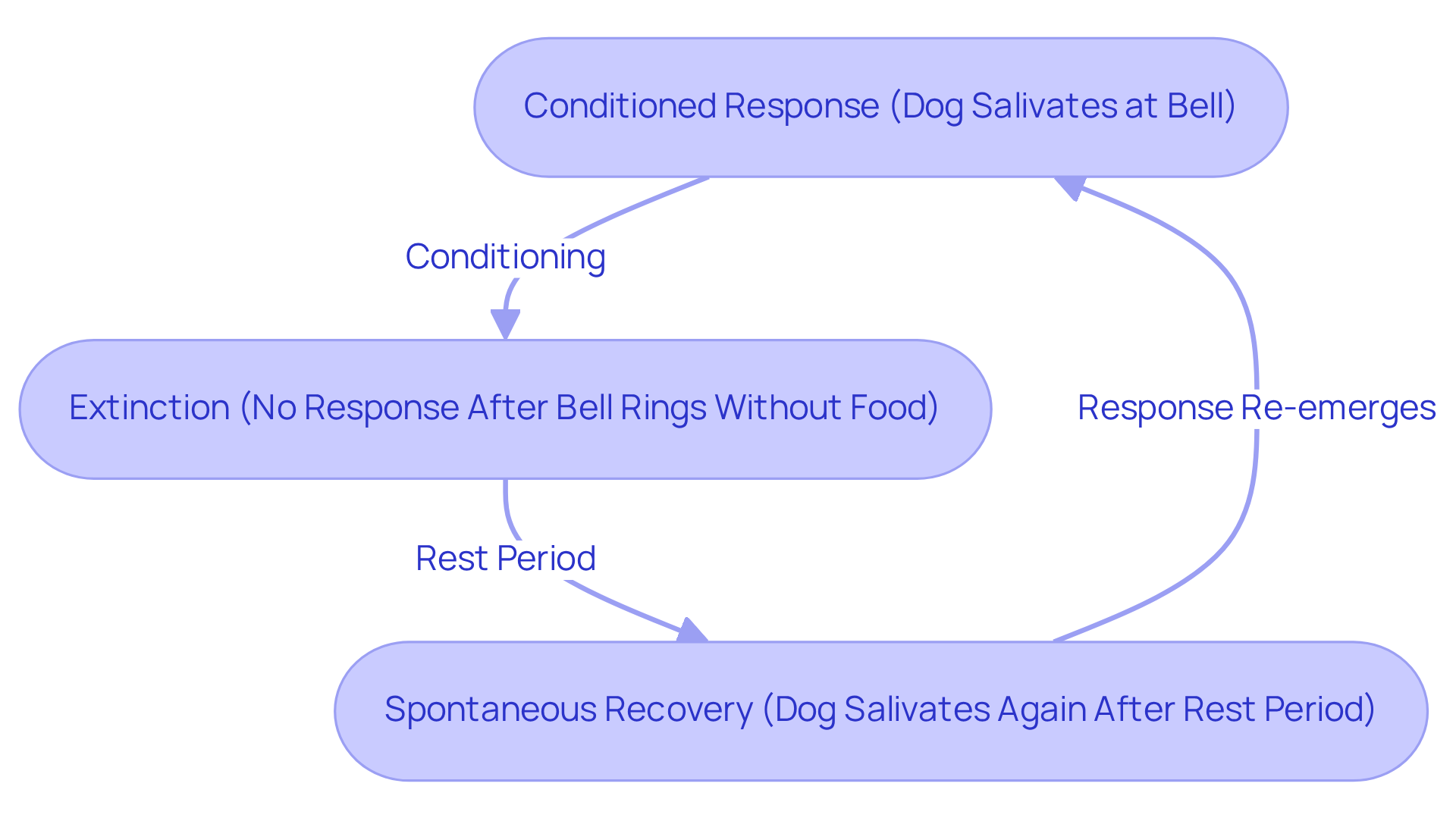This flowchart illustrates how a learned behavior can diminish and then resurface after a break. Follow the arrows to see how the dog's response changes over time.