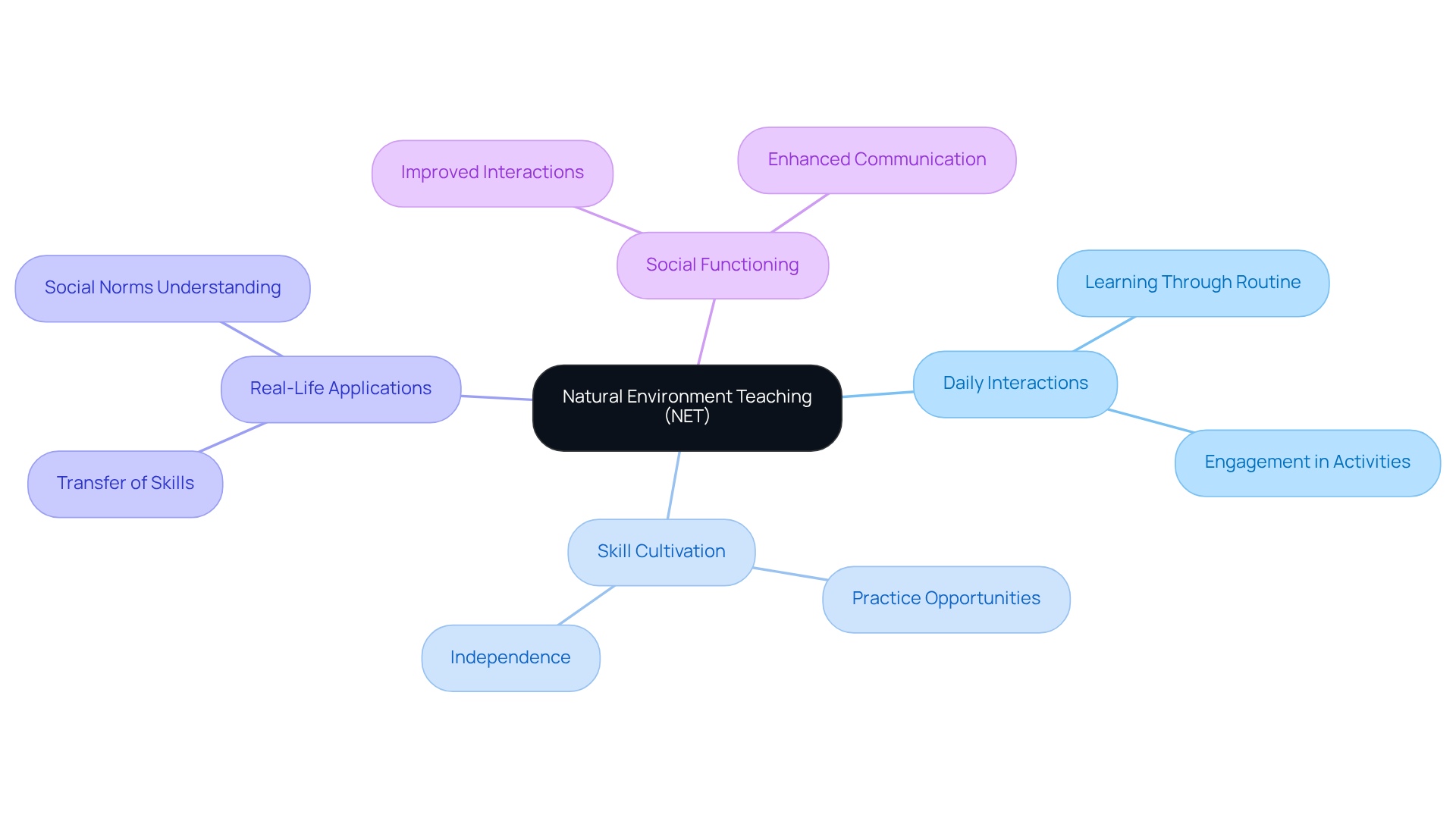 Start in the center with NET, then follow the branches to see how it connects to daily interactions and skill development. Each sub-branch provides more detail about how these concepts work together to support learning and independence.