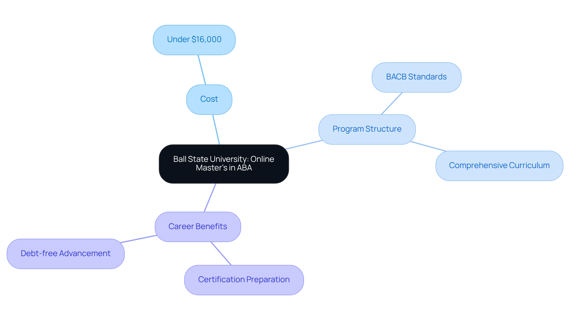 The center node represents the program, with branches showing key aspects like cost and benefits — follow the branches to understand how each part contributes to the overall value.