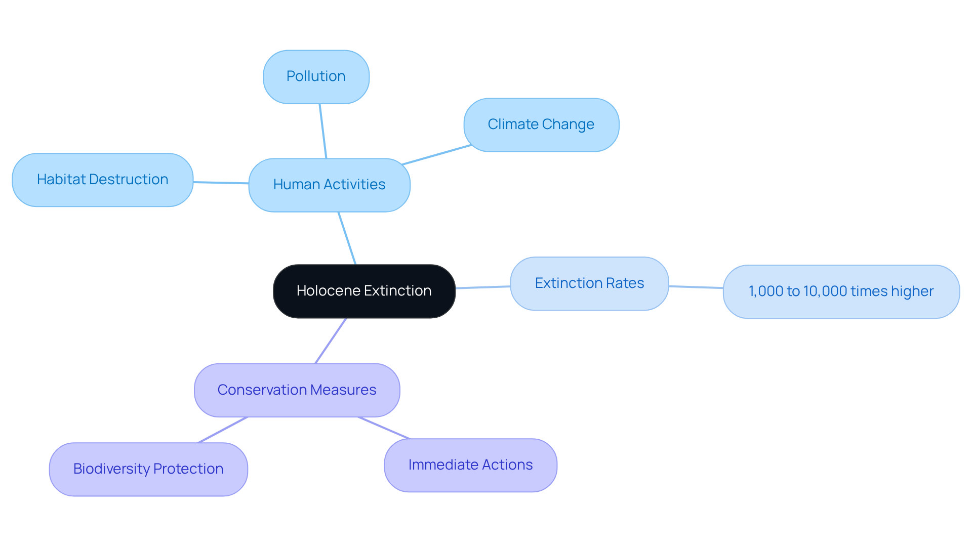 The central node represents the overarching issue of the Holocene extinction, while branches illustrate the causes and effects. Each color-coded area highlights different aspects of the crisis and potential solutions.