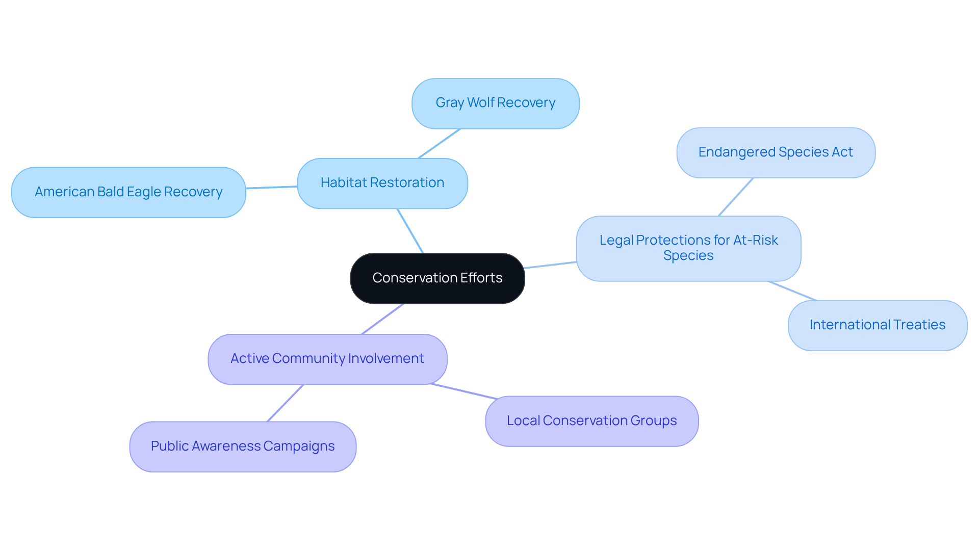 The central node represents the main goal of conservation. Each branch shows a strategy that contributes to preventing extinctions, while sub-branches highlight successful outcomes that demonstrate the effectiveness of these strategies.