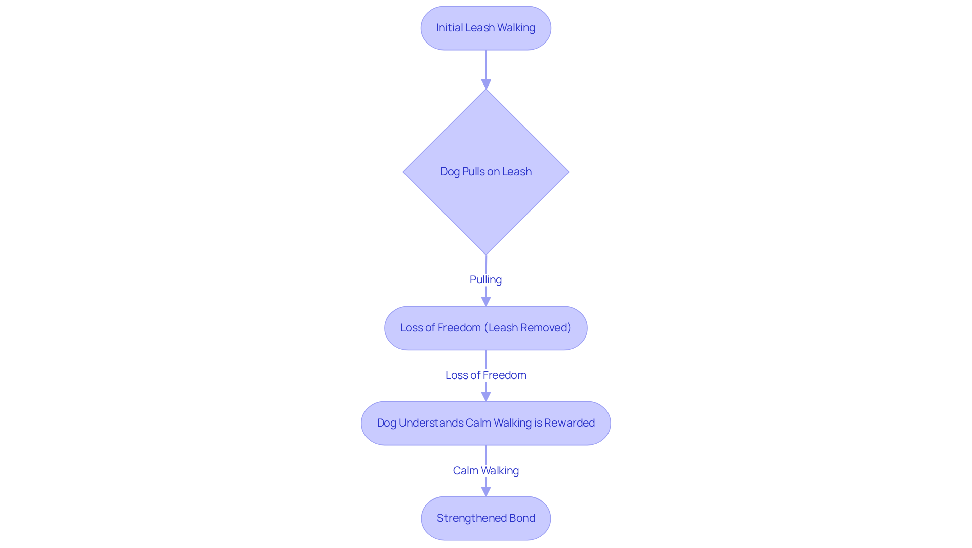 Follow the arrows to see how the dog's actions lead to consequences during training. Each step shows how pulling leads to loss of freedom, encouraging calm behavior. Follow the arrows to see how the dog's actions lead to consequences during training. Each step shows how pulling leads to loss of freedom, encouraging calm behavior.