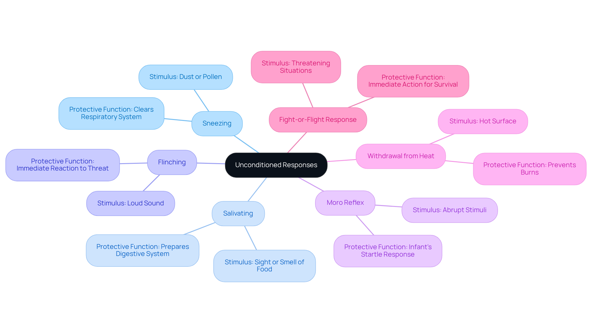 The central node represents the concept of unconditioned responses, while each branch illustrates a specific example. The sub-branches provide details about the stimuli and the body's automatic reactions, helping you understand how these reflexes protect us. The central node represents the concept of unconditioned responses, while each branch illustrates a specific example. The sub-branches provide details about the stimuli and the body's automatic reactions, helping you understand how these reflexes protect us.