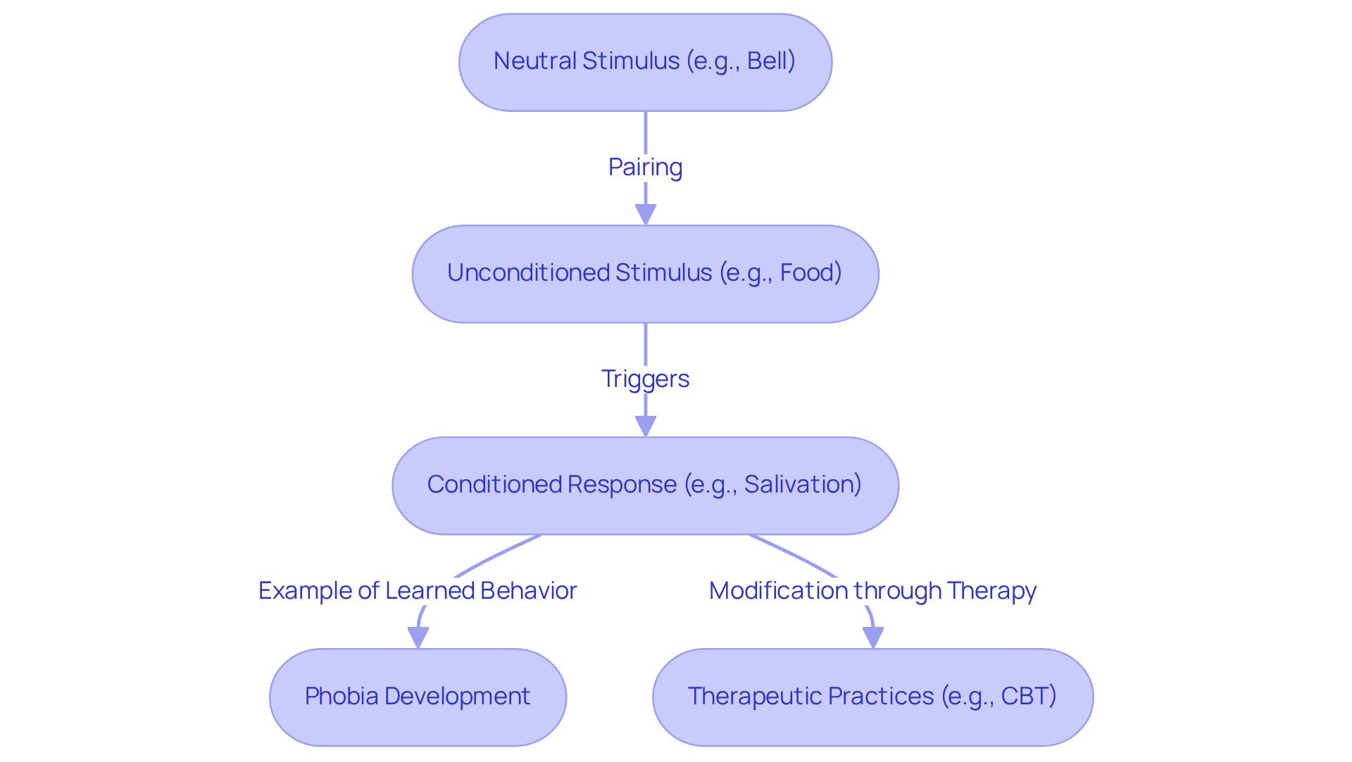 This flowchart shows how a neutral stimulus can become associated with an unconditioned stimulus to create a learned behavior. Follow the arrows to see how each step leads to the next, illustrating the process of classical conditioning and its implications. This flowchart shows how a neutral stimulus can become associated with an unconditioned stimulus to create a learned behavior. Follow the arrows to see how each step leads to the next, illustrating the process of classical conditioning and its implications.