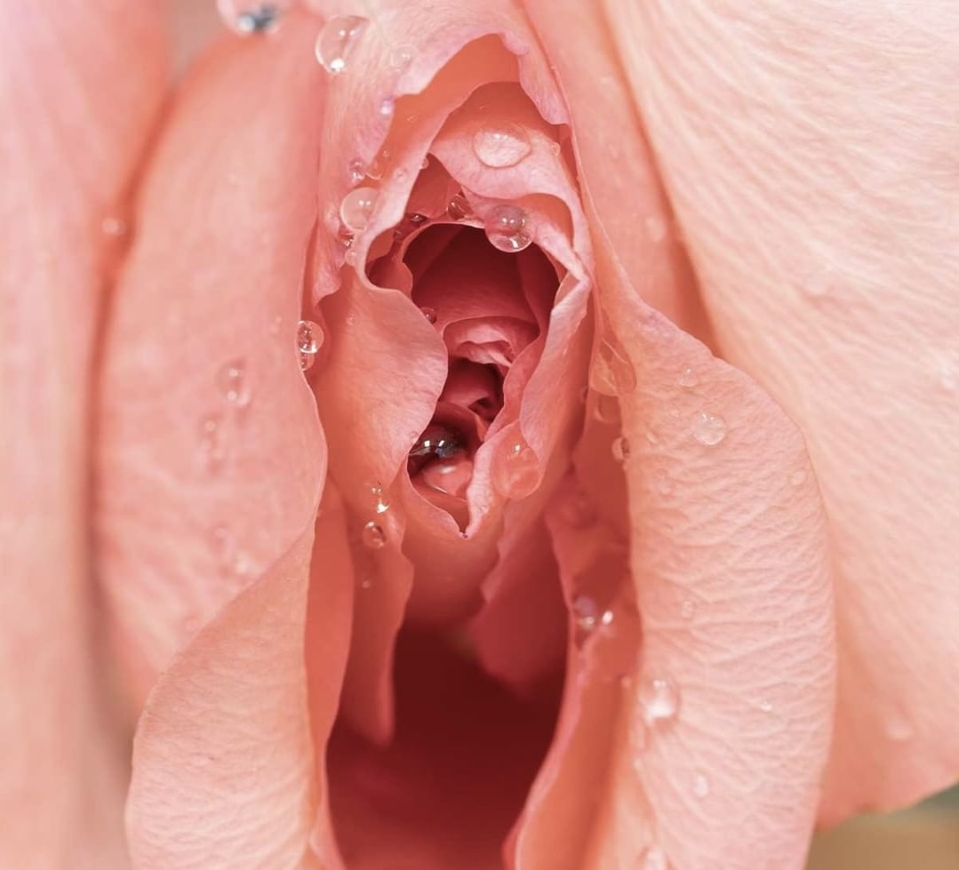 LABIOPLASTICA