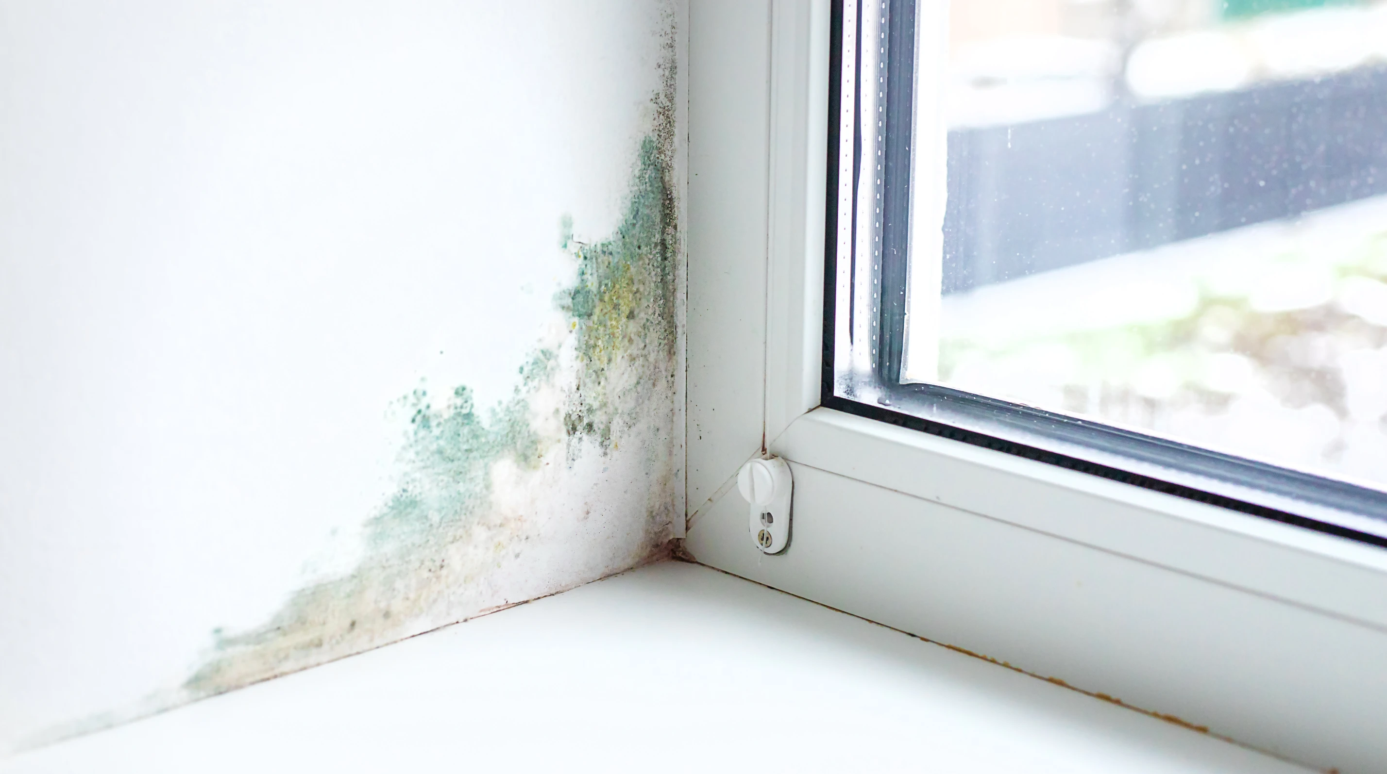 What Is Water Intrusion and How Does It Damage Your Colorado Home?
