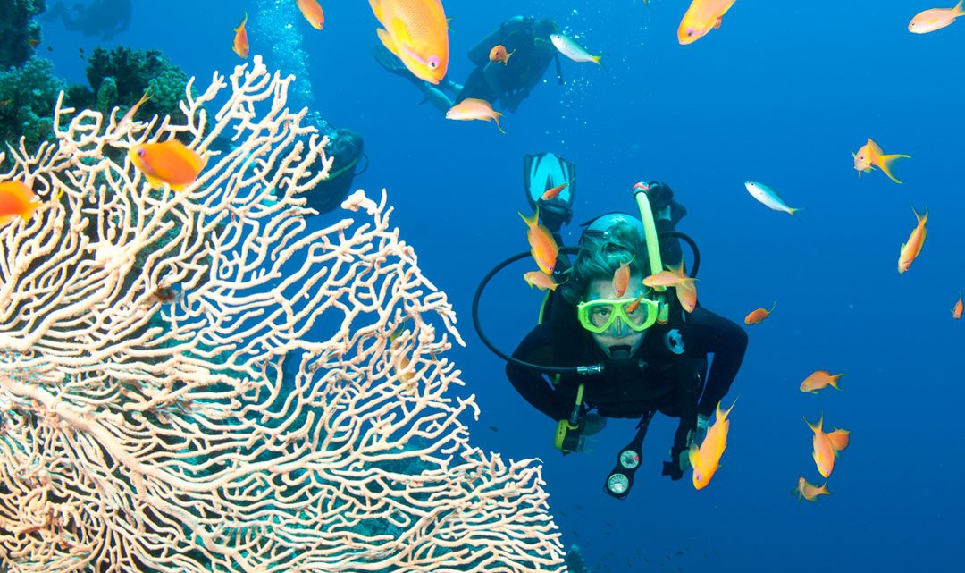 Sonda Per Immersioni Subacquee In Acciaio Inox - Per Comunicazione E Sicurezza Sott'acqua