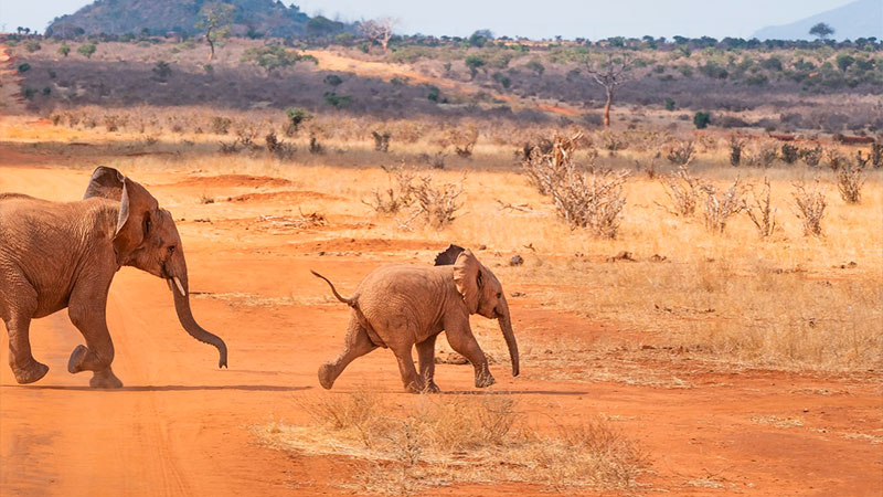 Migliori destinazioni in Africa - Paesi più visitati nel [year]