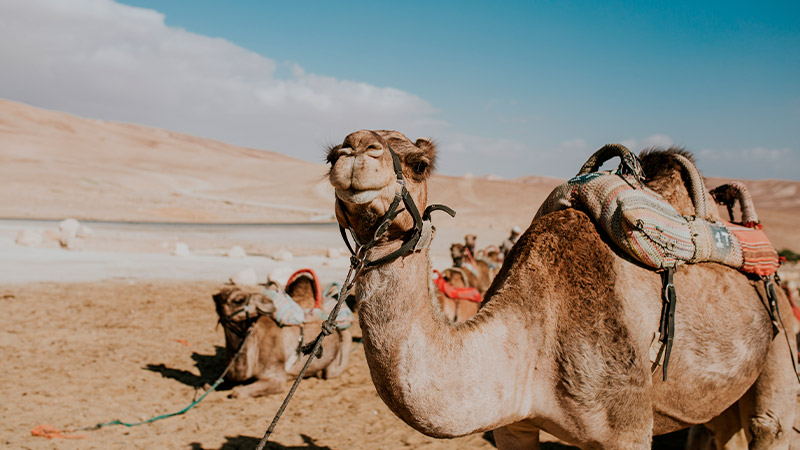 cosa-vedere-in-marocco-in-3-giorni