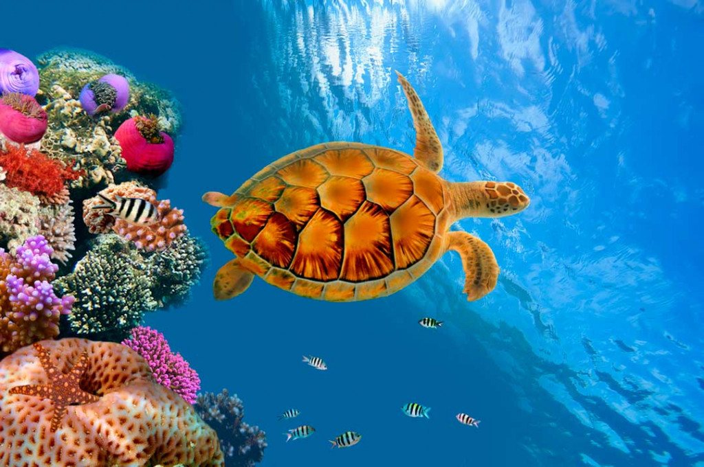 Vacinas para viajar à Tailândia