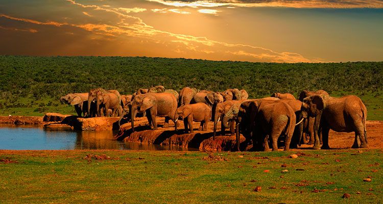 11 coisas que deve saber antes de viajar para África do Sul