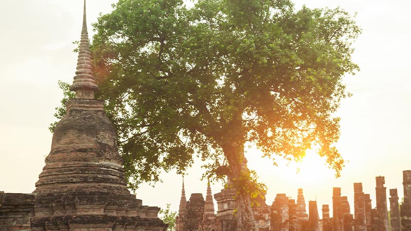 mejor-seguro-viaje-tailandia