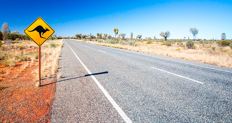 Visitor Visa subclass 600