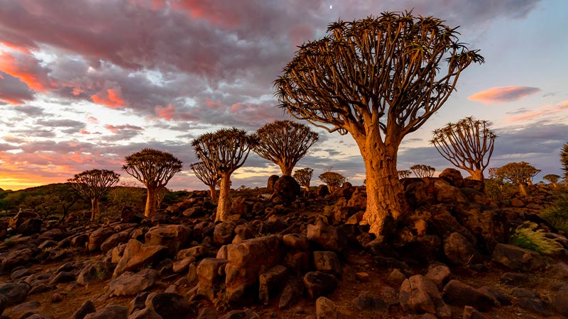 africa-pontos-turisticos