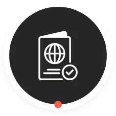 Icon of a passport with a globe symbol and a checkmark inside a dark circle.
