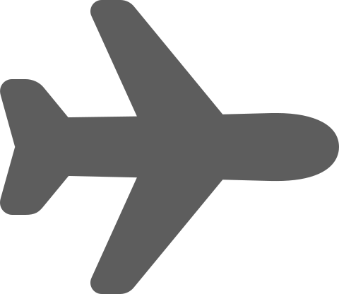 Simple gray airplane icon viewed from above with wings and tail visible.