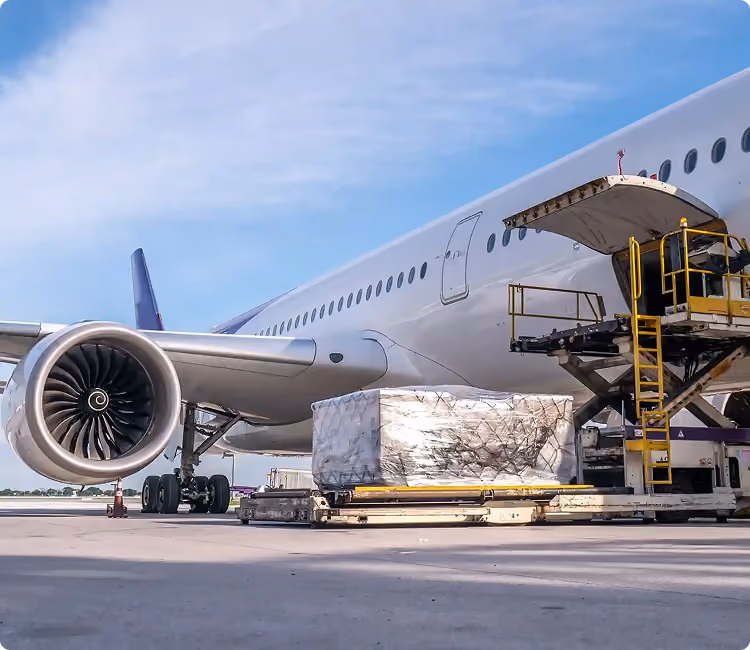 Cargo being loaded into an airplane's side compartment on a sunny day at the airport.