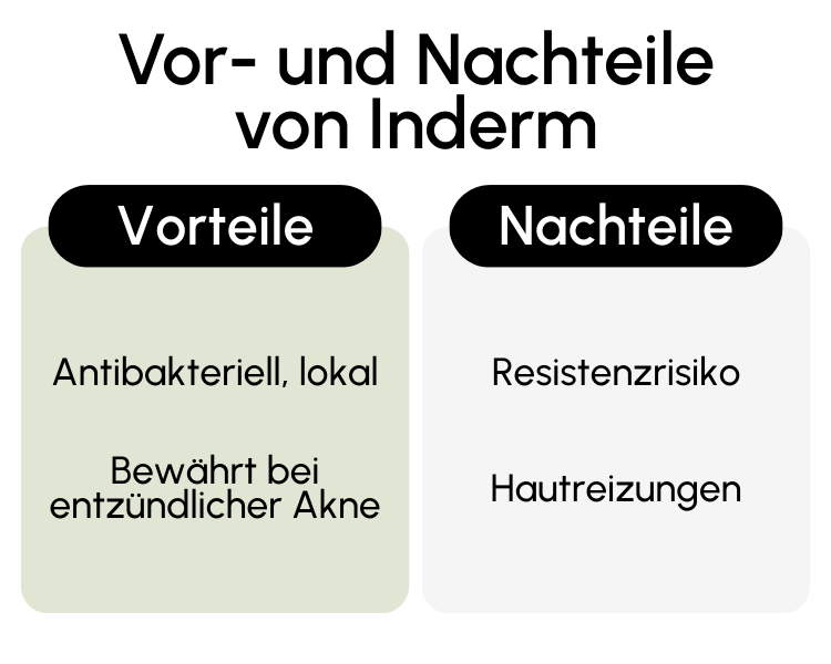 Vor- und Nachteile von Inderm