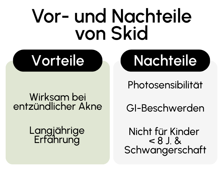 Vor- und Nachteile von Skid