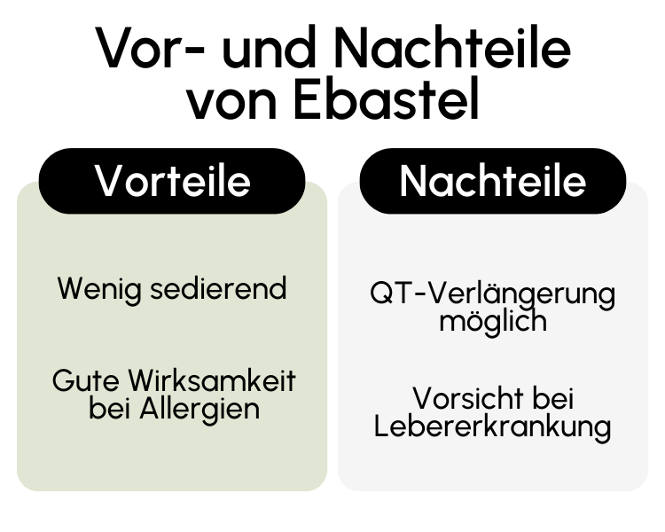 Vor- und Nachteile von Ebastel