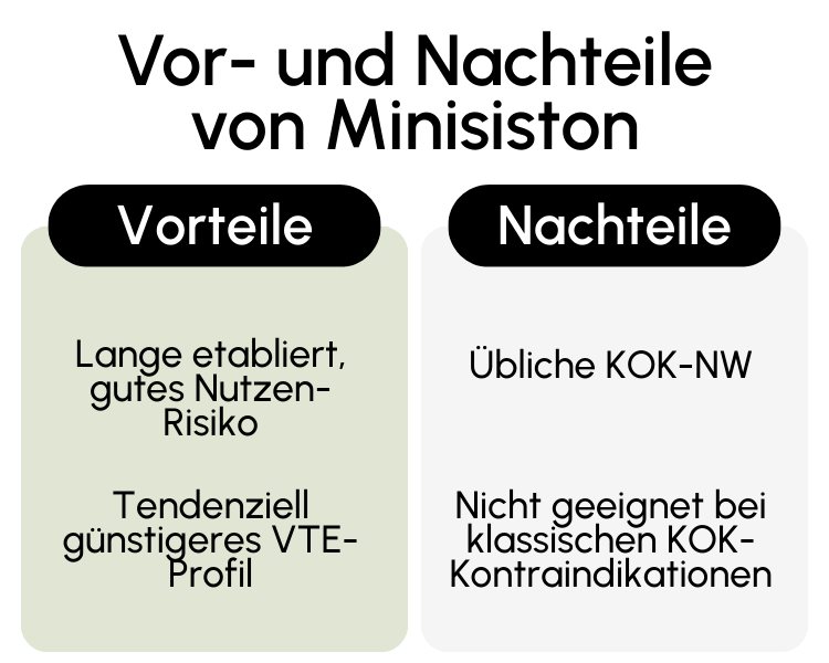 Vor- und Nachteile von Minisiston