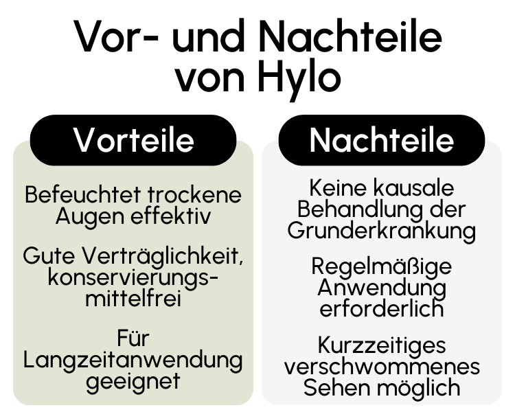 Vor- und Nachteile von Hylo