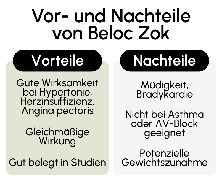 Vor- und Nachteile von Beloc Zok