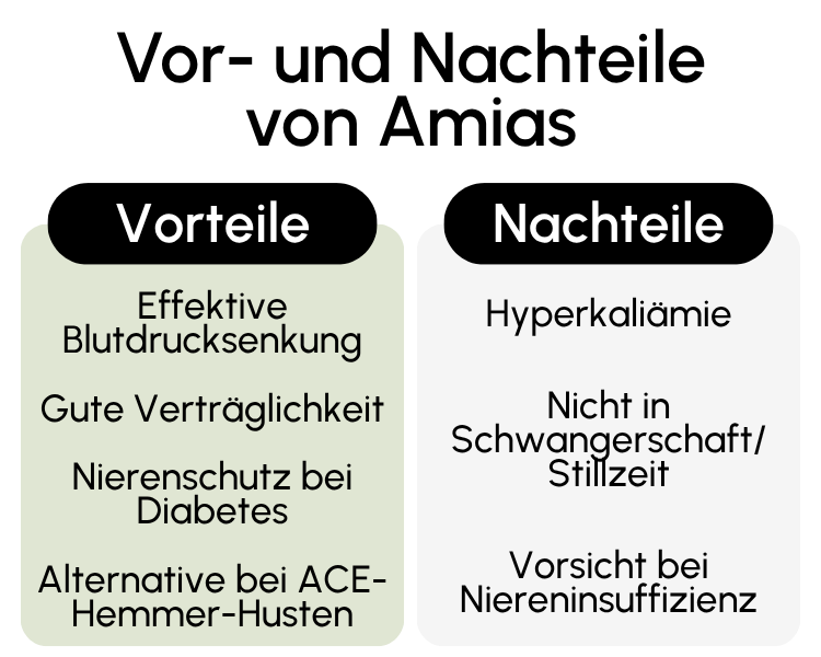Vor- und Nachteile von Amias