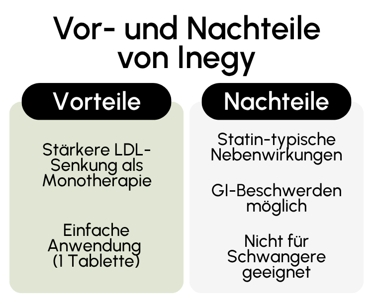 Vor- und Nachteile von Inegy