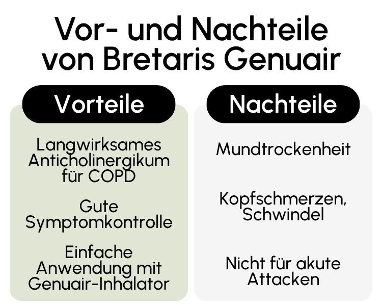 Vor- und Nachteile von Bretaris Genuair