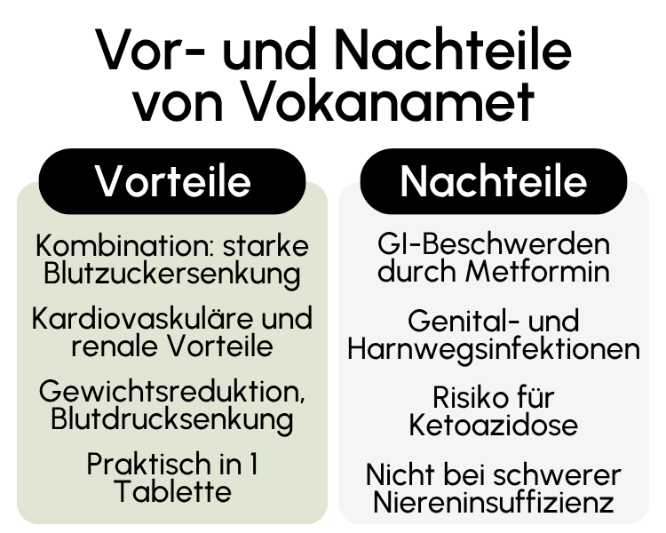 Vor- und Nachteile von Vokanamet